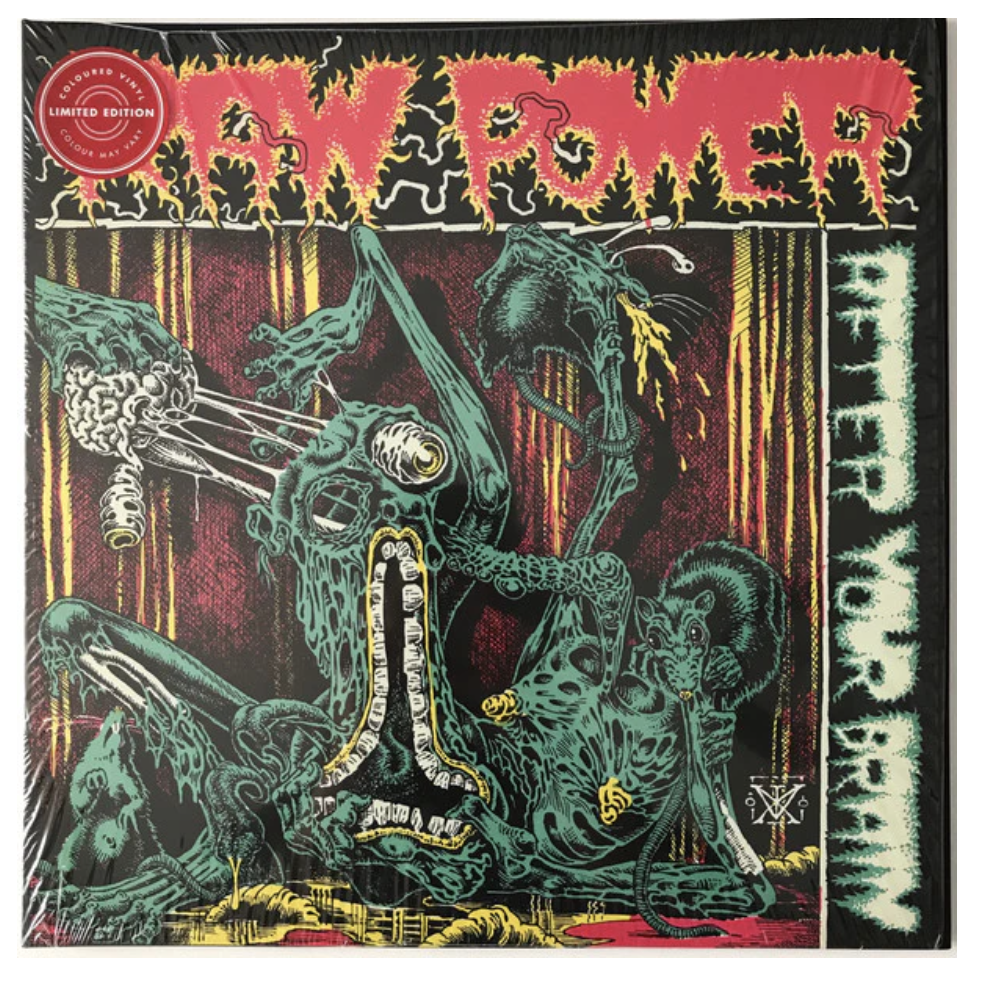 Raw Power - After Your Brain LP
